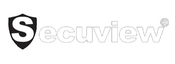 cctv logo6
